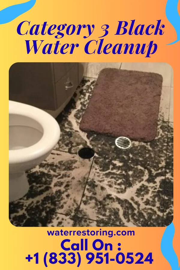 Category 3 Black Water Cleanup in Gypsum, CO